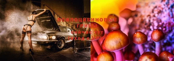 таблы Аркадак