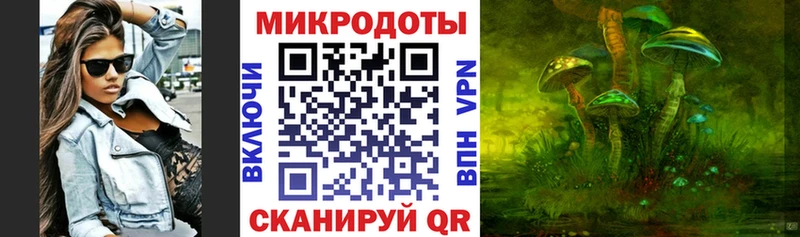 Галлюциногенные грибы прущие грибы  Перевоз 