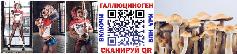 Псилоцибиновые грибы ЛСД Перевоз